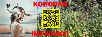 apvp Изобильный